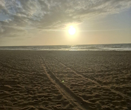 Playa de la Estacion-巴达洛纳必去景点