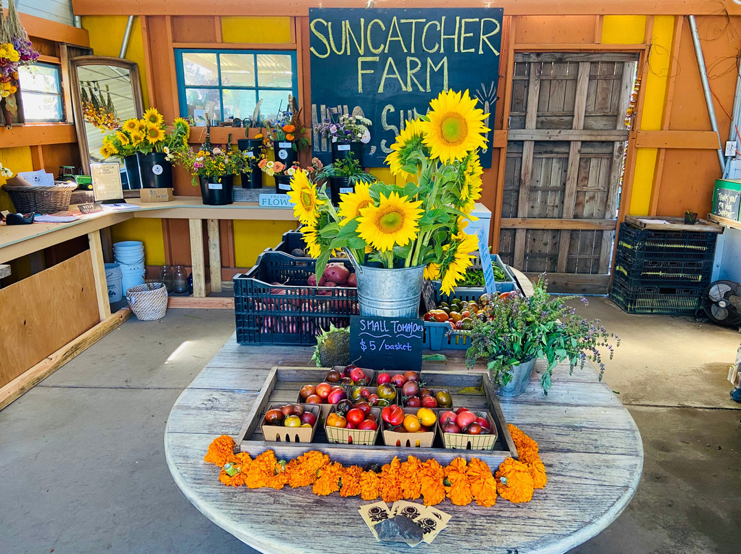 Suncatcher Farmstand-佩塔卢马必去景点
