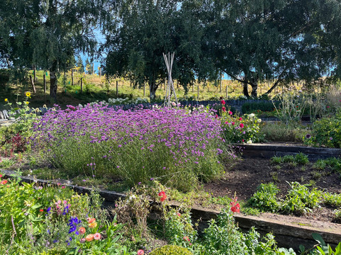 Alpine Luxury Tours-皇后镇必去景点