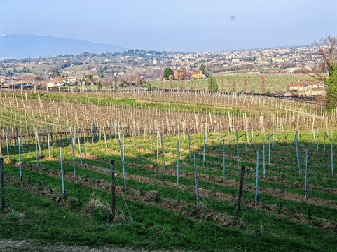 阿斯托里亚PHI酒店主图