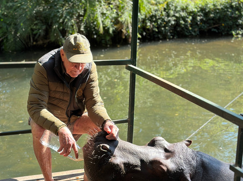 Hippo Jessica-霍德斯普鲁特必去景点