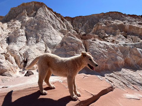 Jordan Trail Guide-佩特拉必去景点