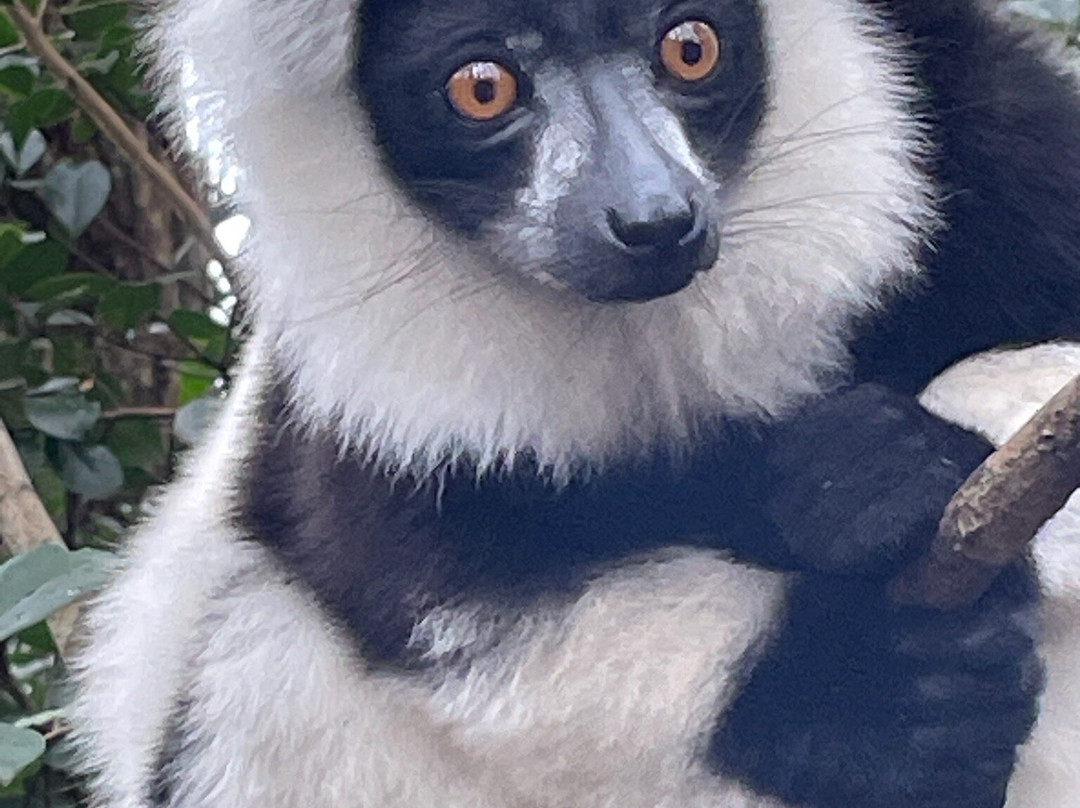 Wild-madagascar-tours-安塔那那利佛必去景点