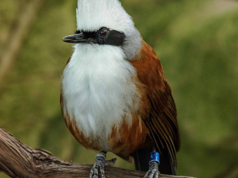 国家鸟类公园-匹兹堡必去景点