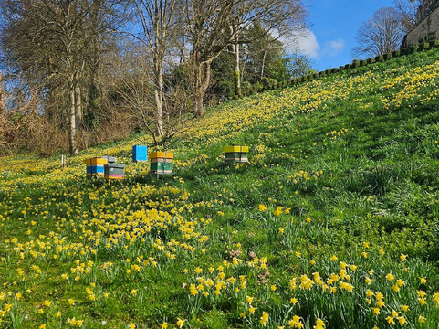 佩恩斯威克洛可可花园-Painswick必去景点