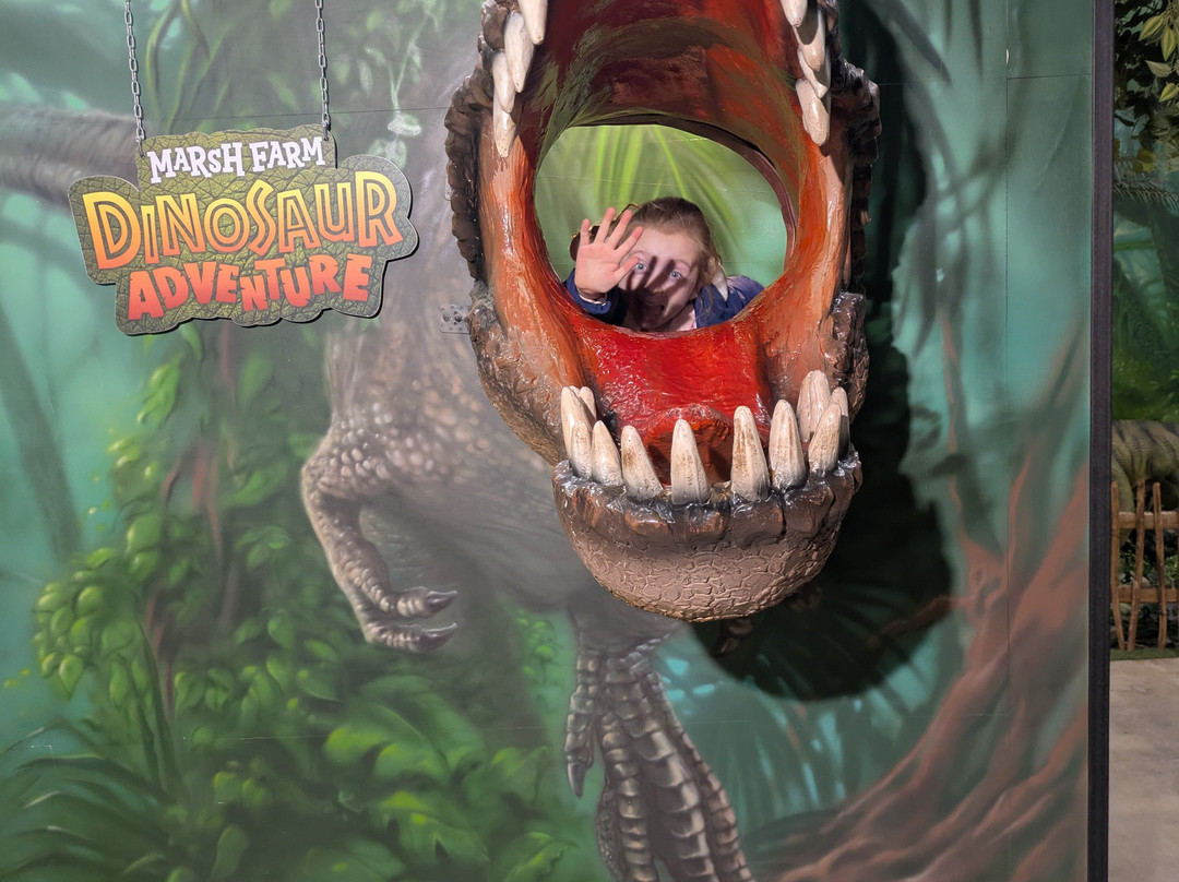 Marsh Farm Animal Adventure Park-Woodham Ferrers必去景点