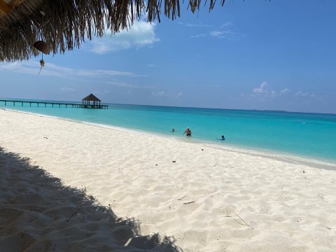 马尔代夫瓦沙法鲁蓝珊瑚酒店-官方