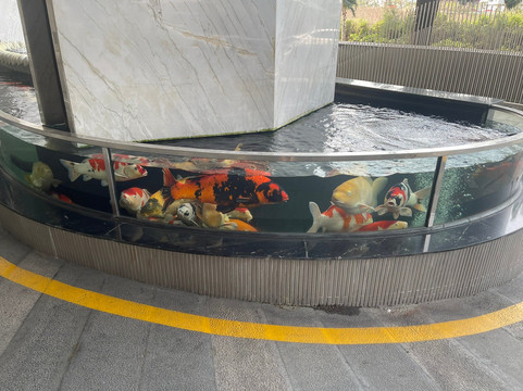 海星酒店-下龙主图