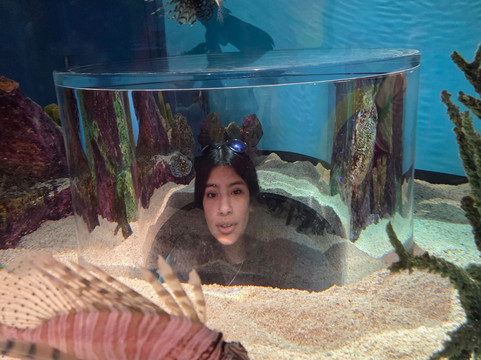 Aquarium At The Boardwalk-布兰森必去景点