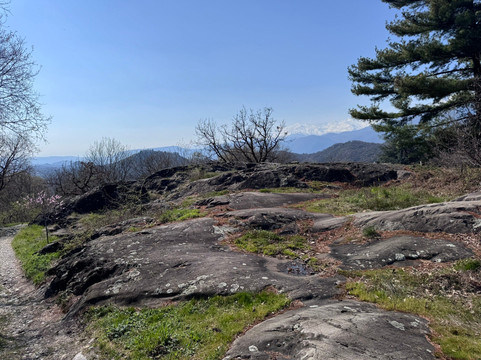 Ansema Ristoro Bioculturale