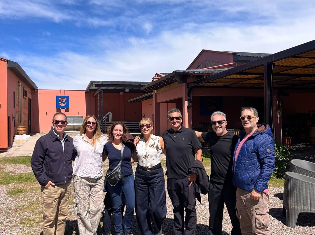 Mendoza Wine Tour-门多萨必去景点