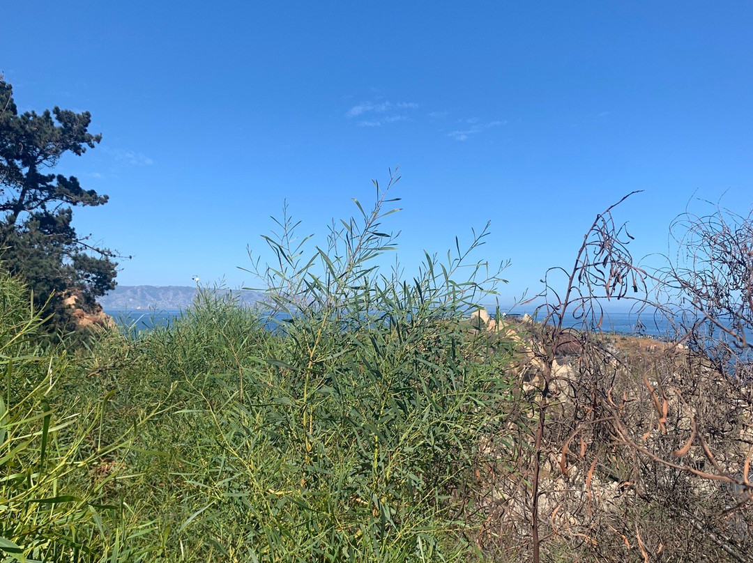 Concon Dunes-Concon必去景点