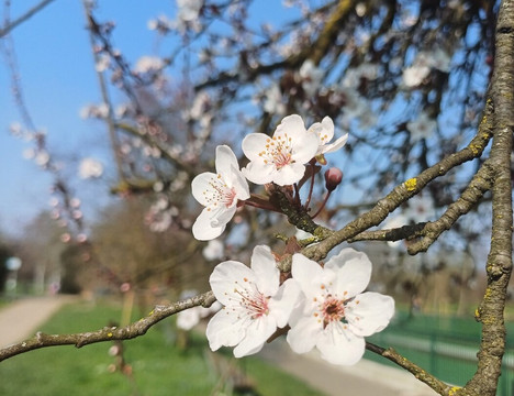 Parco Brianza Centrale-塞雷尼奥必去景点