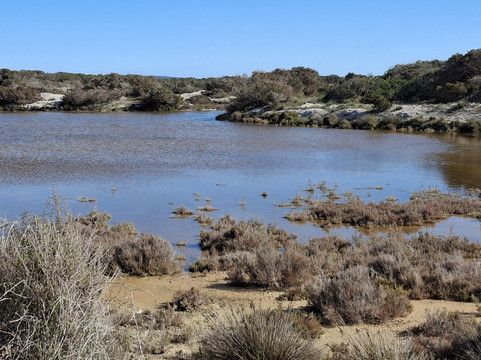 Iglesia de Sant Francesc Xavier-法兰西斯科哈维尔必去景点
