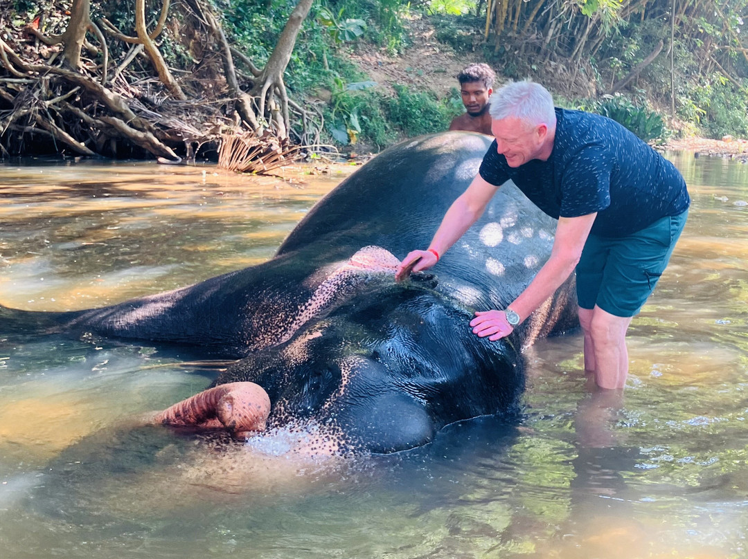 大象公园酒店主图