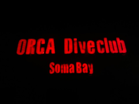 ORCA Dive Club Soma Bay-索马湾必去景点