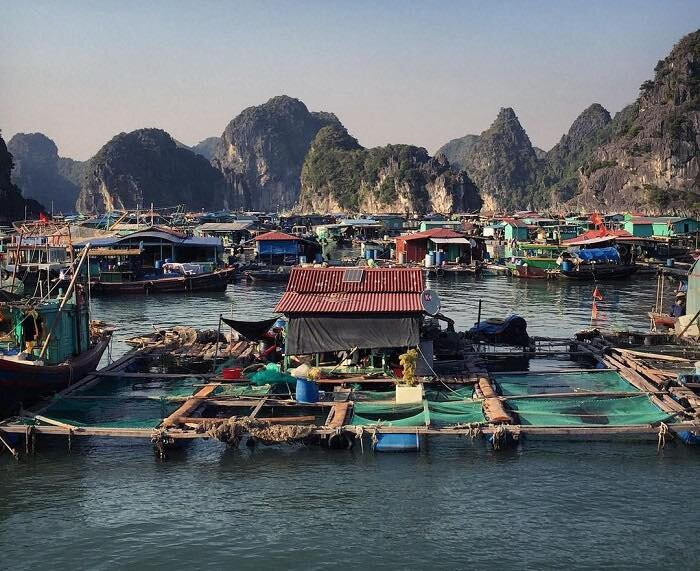 Cai Beo Fishing Village-Ha Long City必去景点