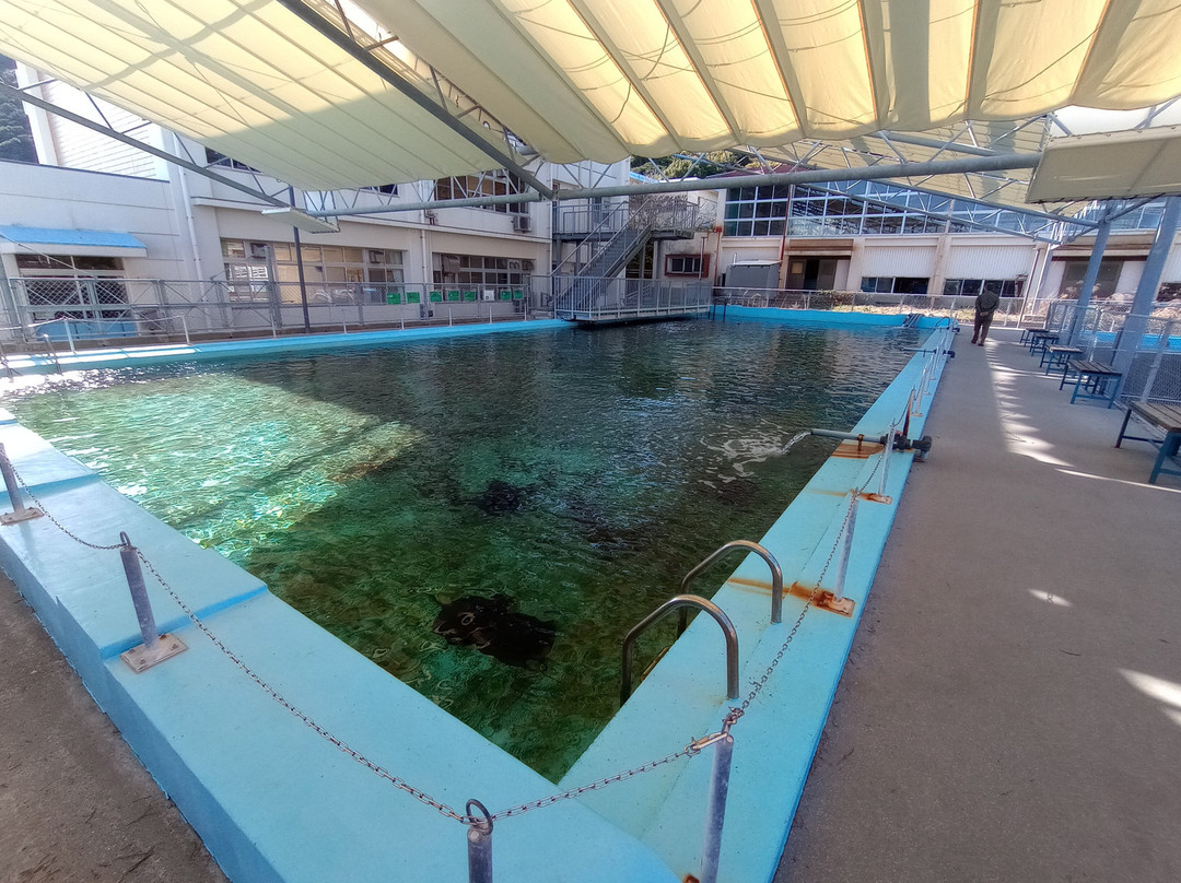 Muroto Haiko Aquarium-室户市必去景点