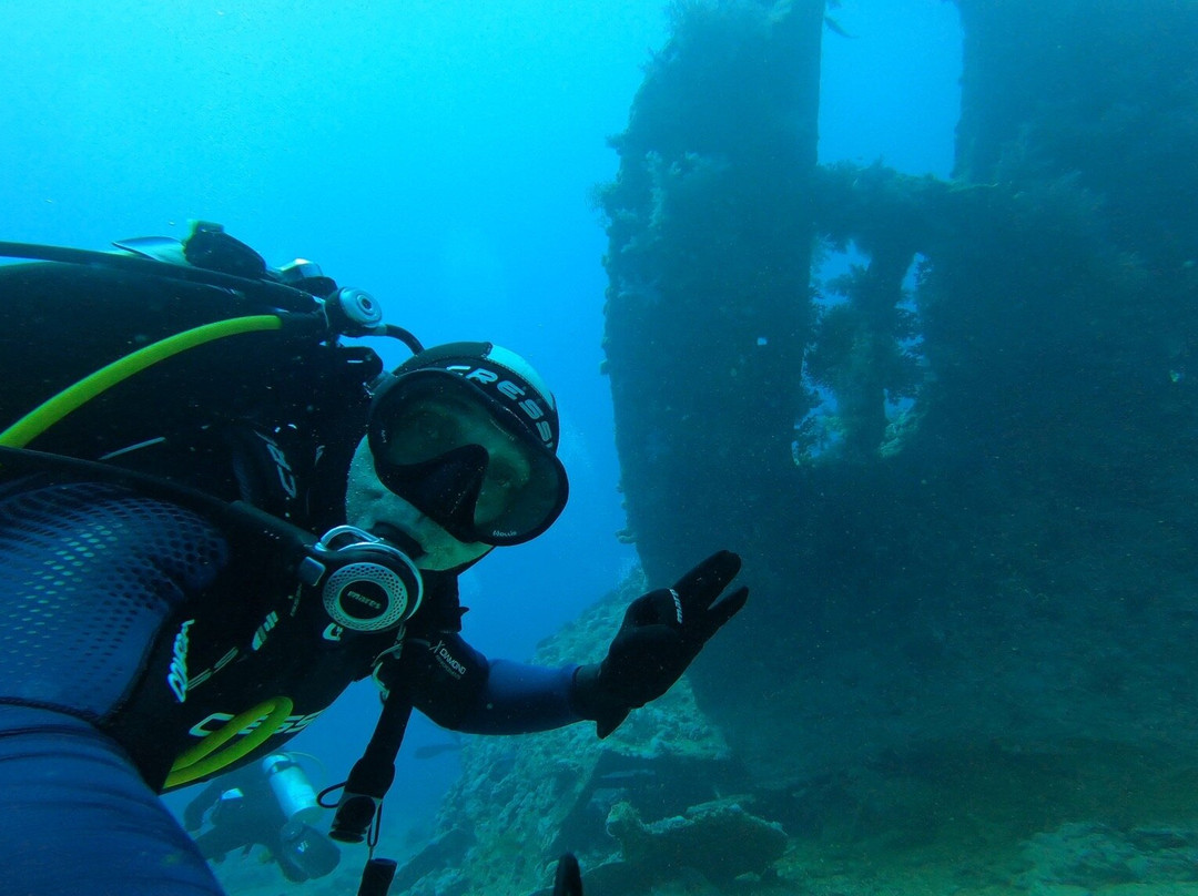 Dive In Sharm-沙姆沙伊赫必去景点