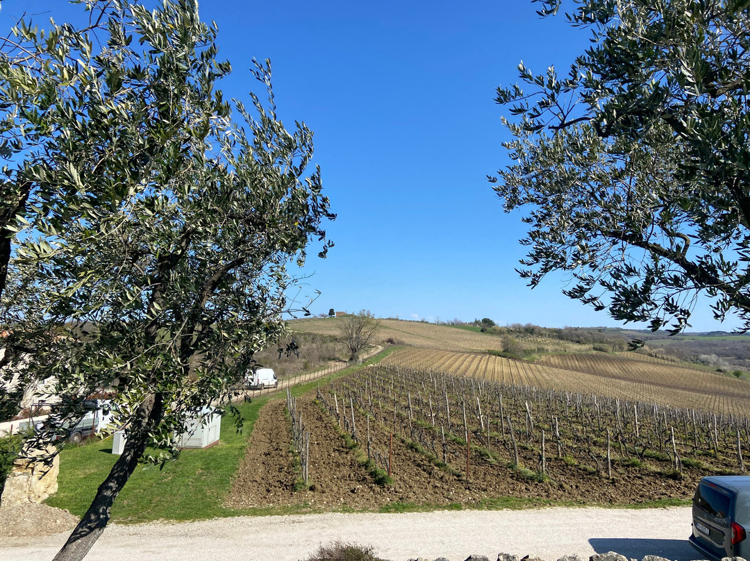 查图纳酒庄住宅酒店主图