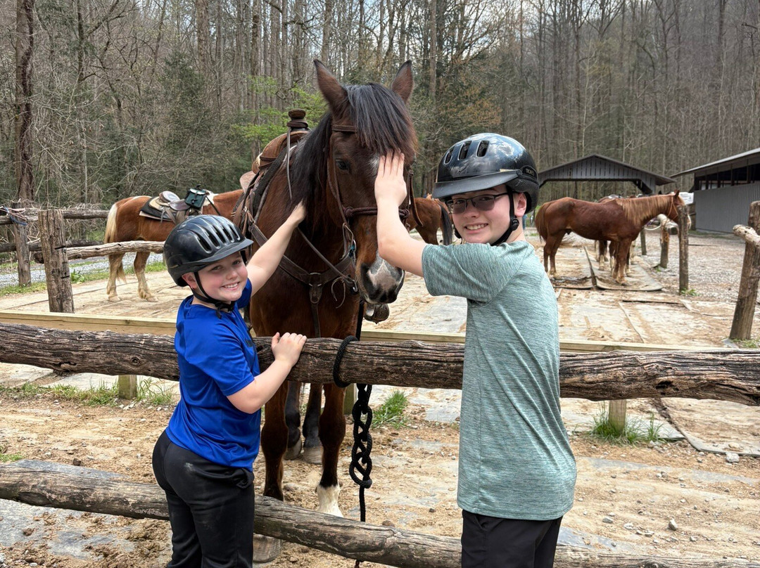 Sugarland Riding Stables-盖林柏格必去景点