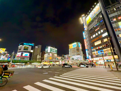 东京新宿WPU酒店