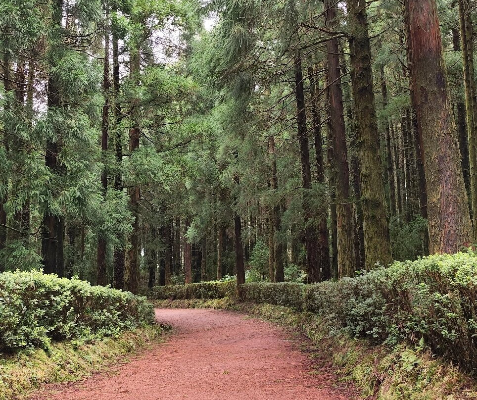Lagoa Verde / Lagoa das Sete Cidades-Sete Cidades必去景点