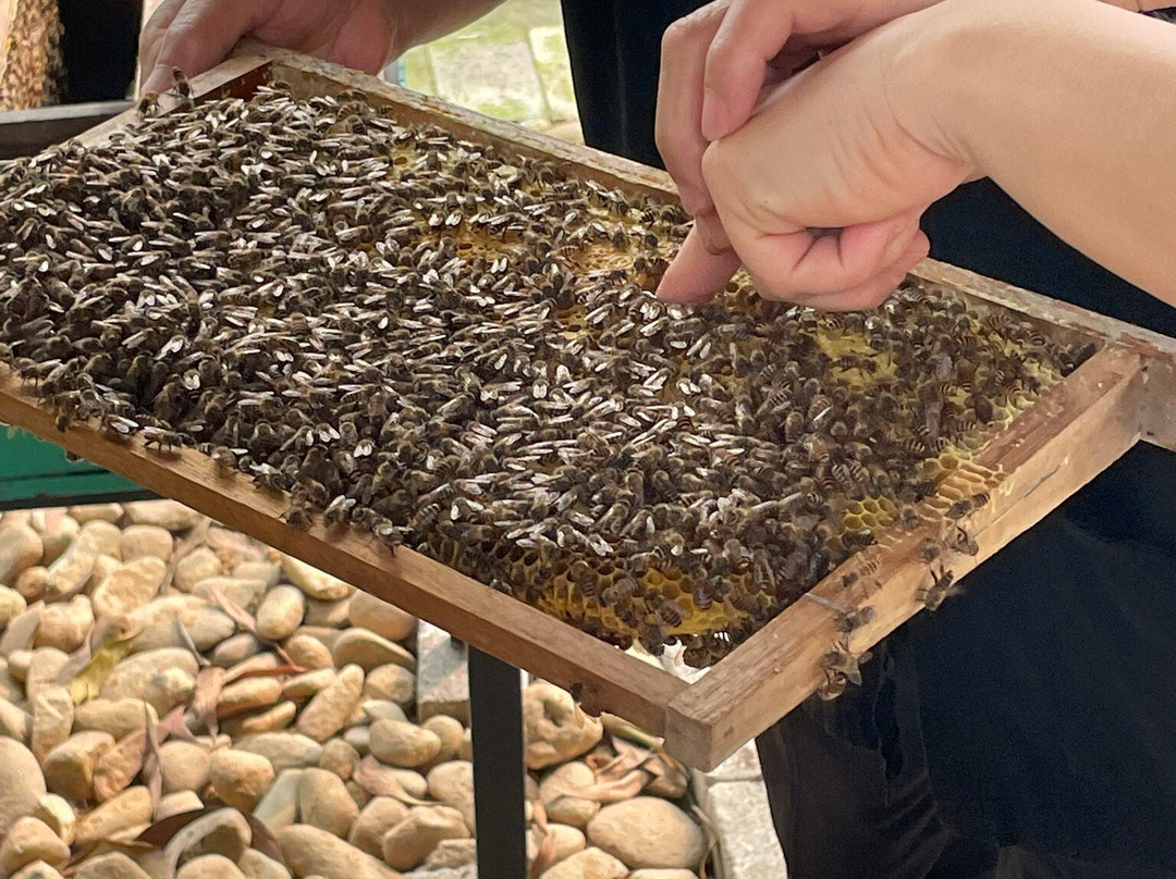 Thai Hai Village-Thai Nguyen必去景点