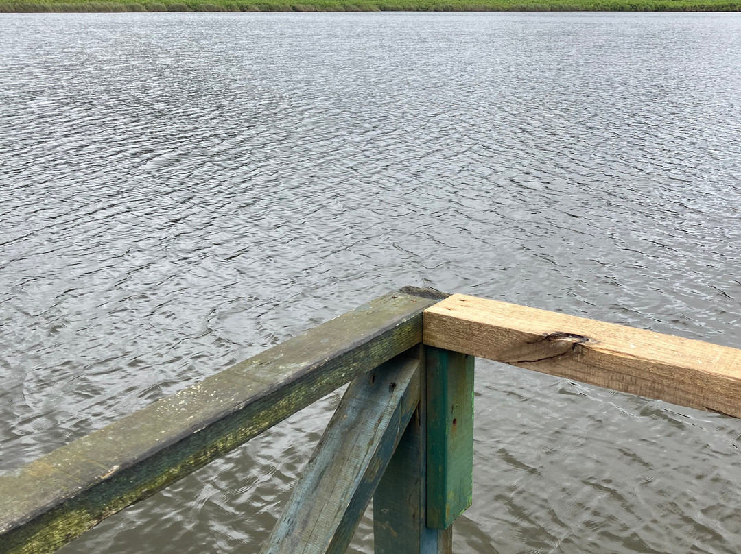 Grand Etang Lake-Grand Etang National Park必去景点