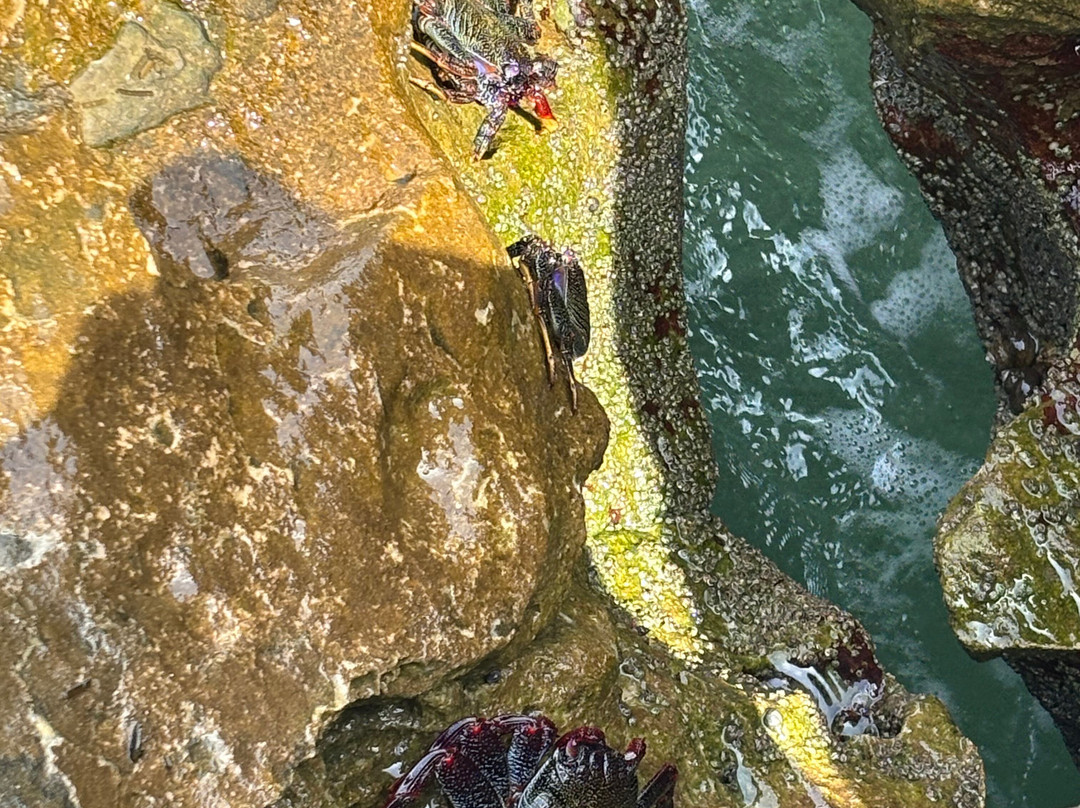 Plage Portorico-达赫拉必去景点