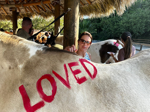 The Aerial, BVI主图