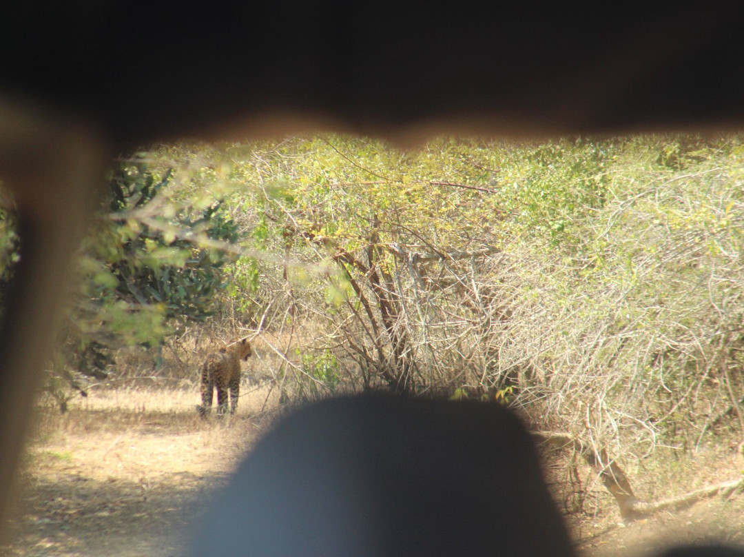 NPA Leopard Safari-蒂瑟默哈拉默必去景点
