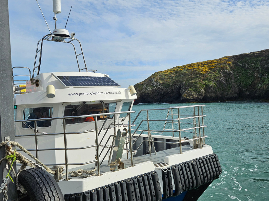 Pembrokeshire Islands Boat Trips-Skomer Island必去景点