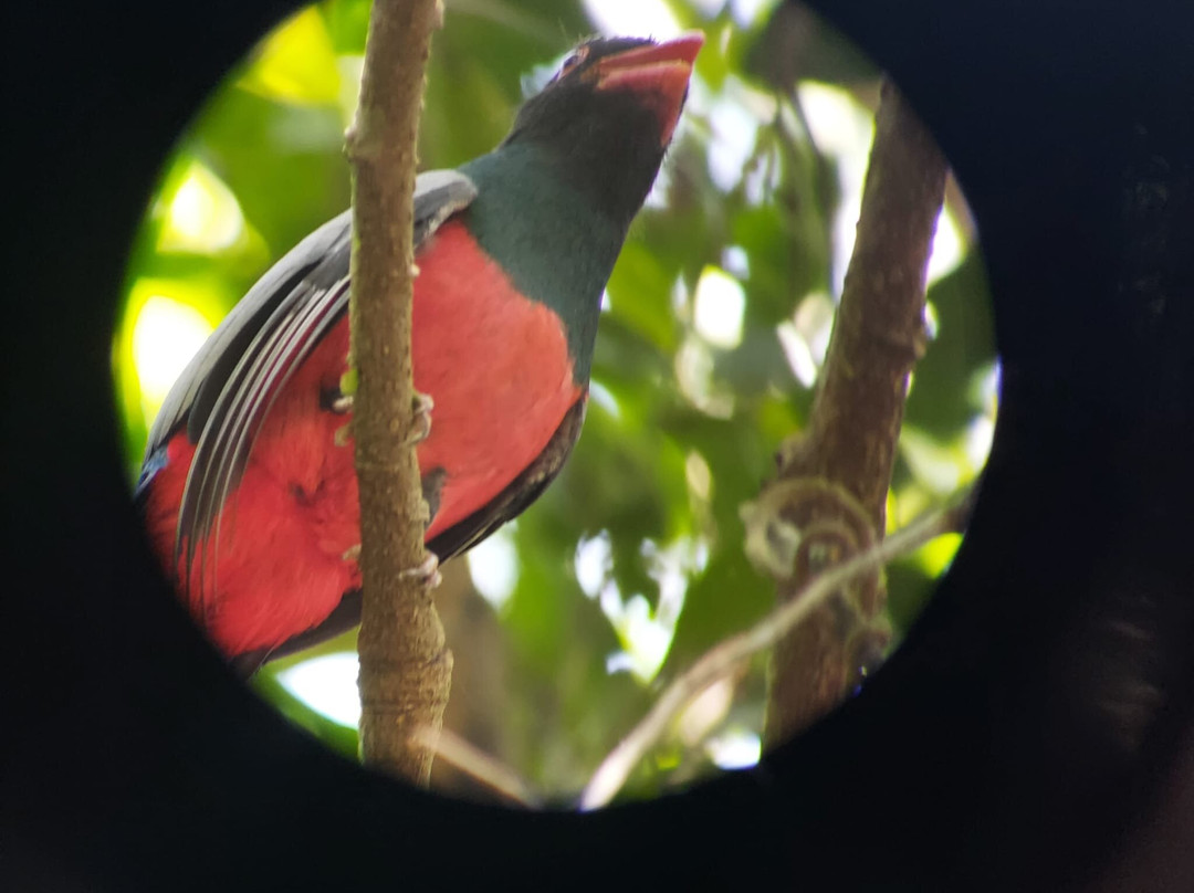 Kalkonu Travel-Ciudad Colon必去景点