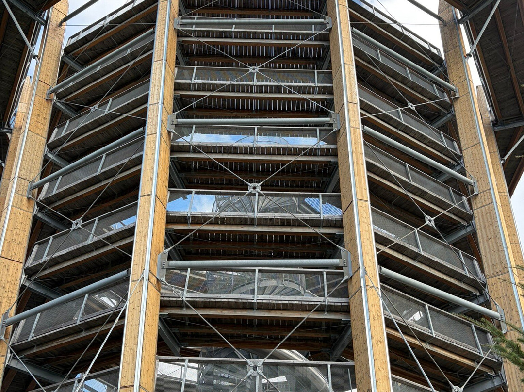 Malahat Skywalk-Malahat必去景点