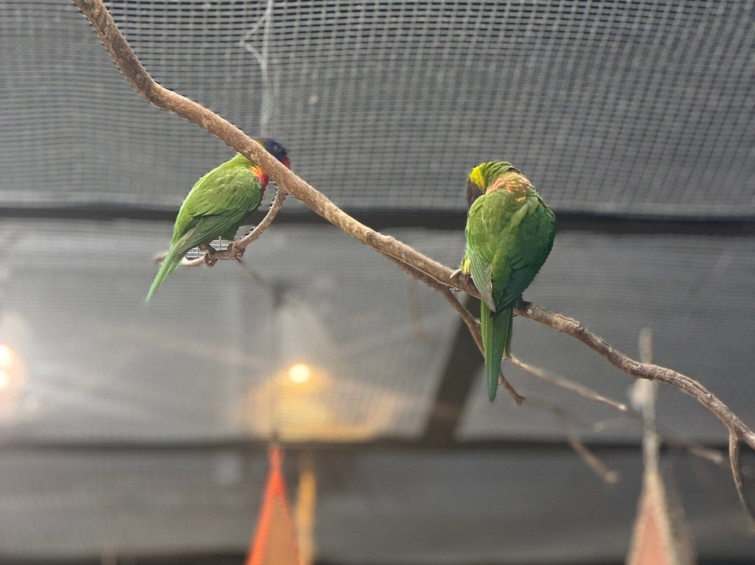Oceanic Aquarium-康泊琉海水浴场必去景点