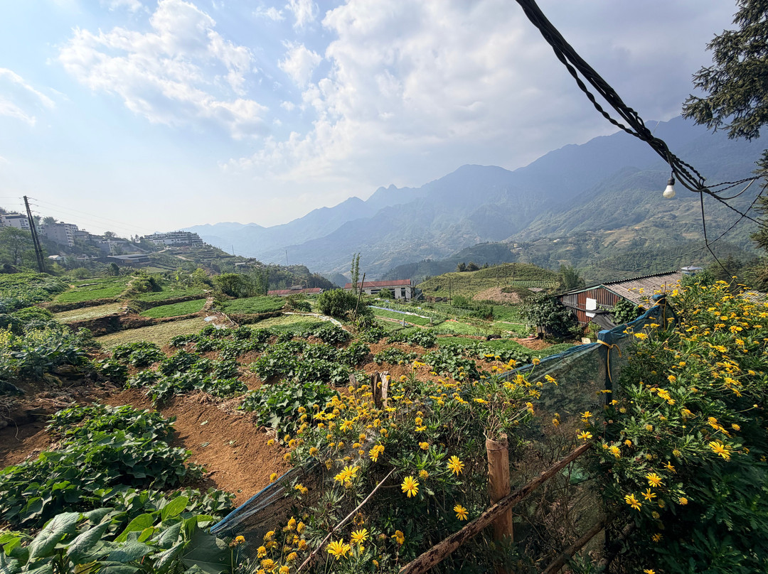 Guide Francophone Sapa-沙巴必去景点