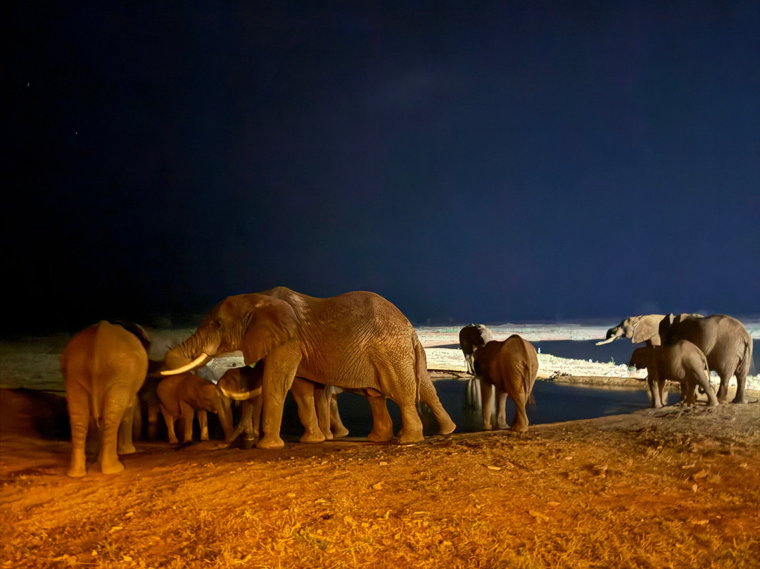 Eddison Safari Kenya-瓦塔木必去景点