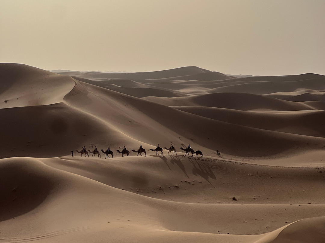 Wild Morocco-扎古拉必去景点