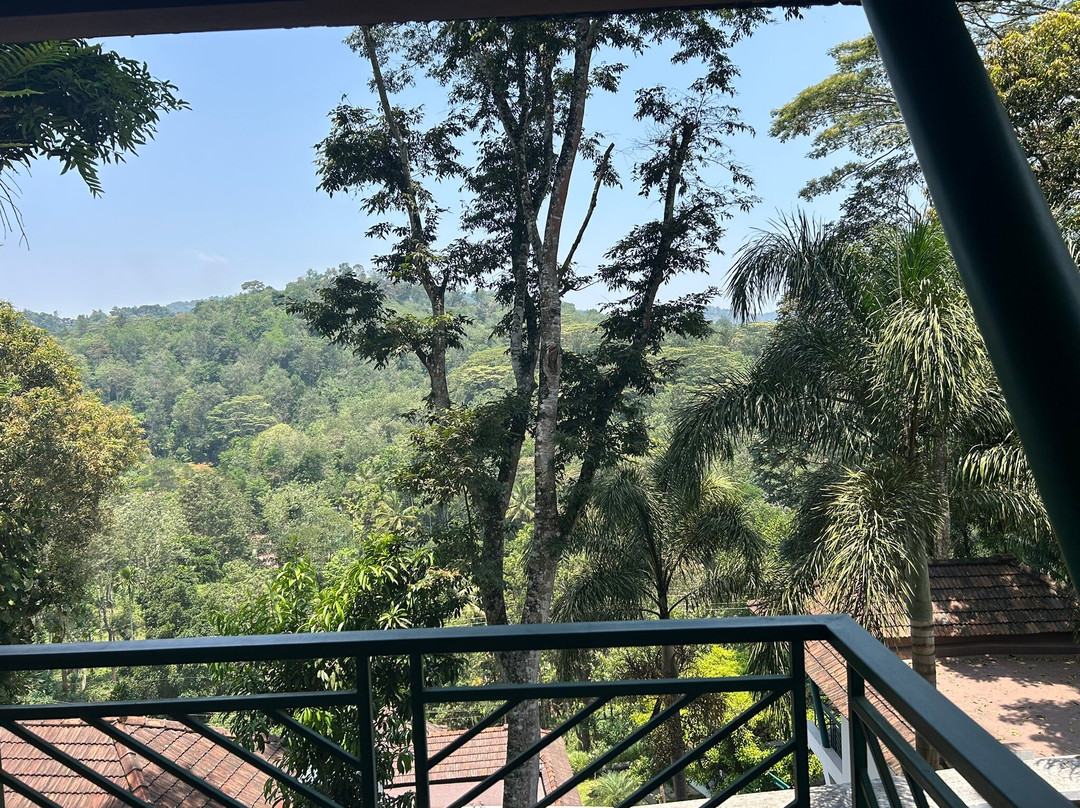 森冠度假村主图