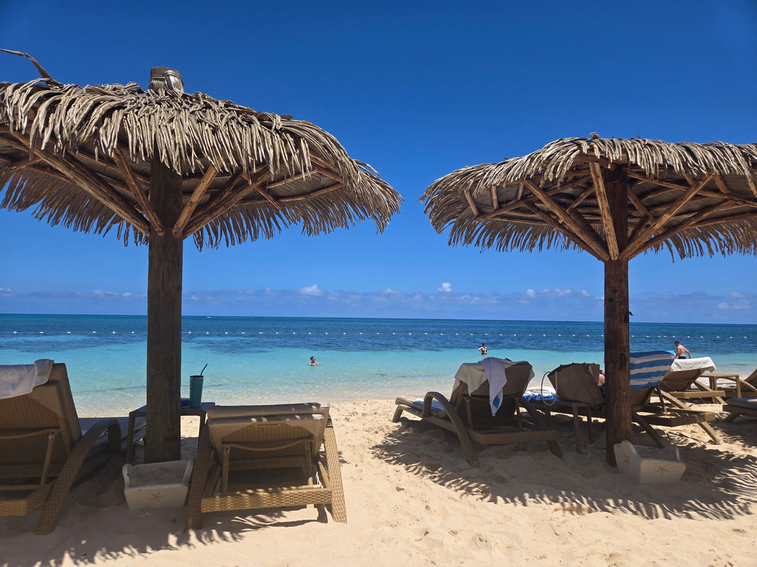 伊比利亚之星乔亚玫瑰堂主图