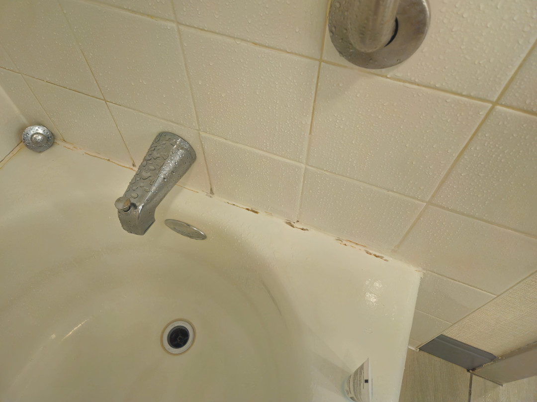 代顿比弗克里克希尔顿花园酒店主图