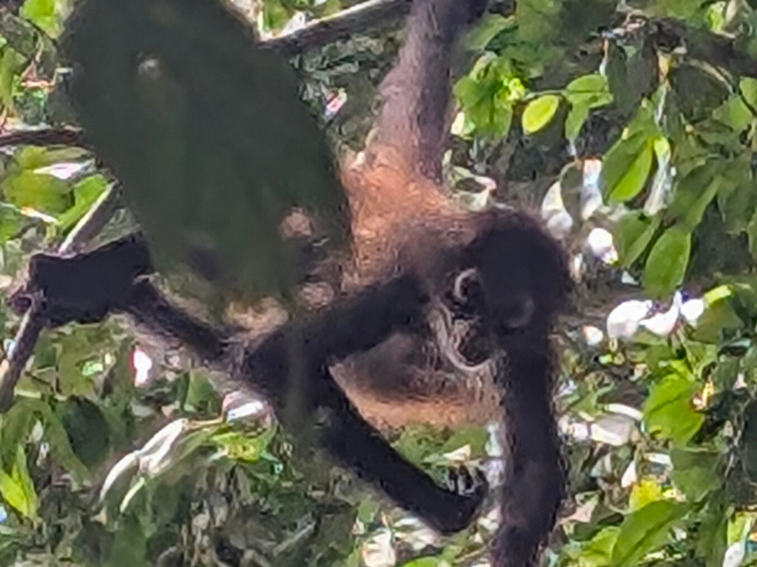 Sukia Travel-德雷克湾必去景点