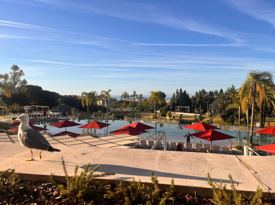 Club Med Magna Marbella - Andalusia主图