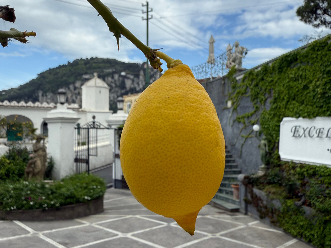 埃克斯尔帕克豪华别墅主图