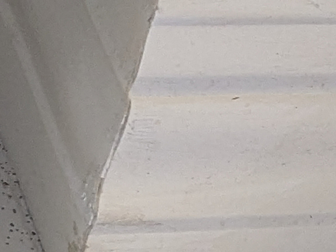 艾尔顿酒店万豪傲途格精选酒店主图