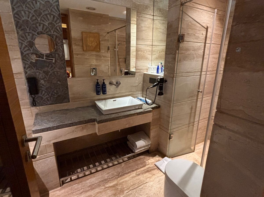 查漠丽笙酒店主图