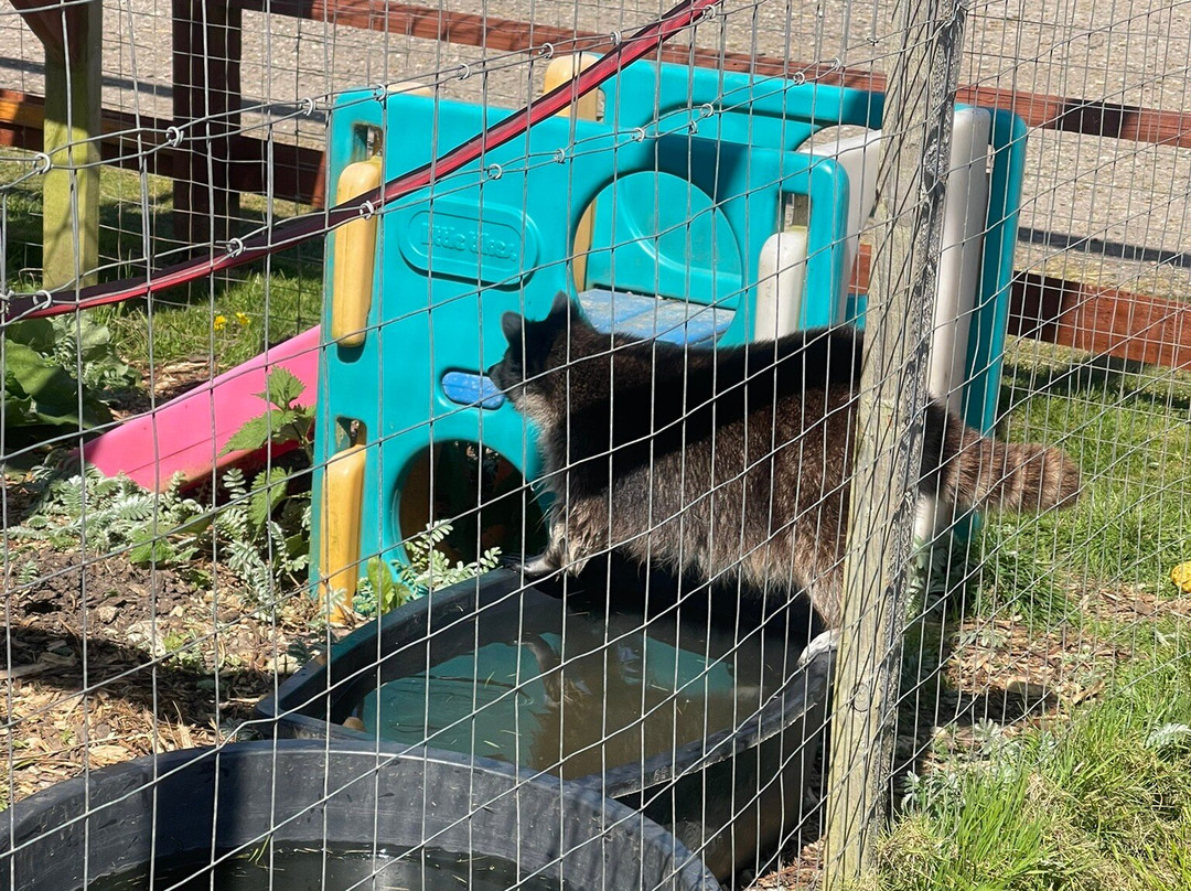Ark Wildlife Park & Exotic Animal Sanctuary-Stickney必去景点