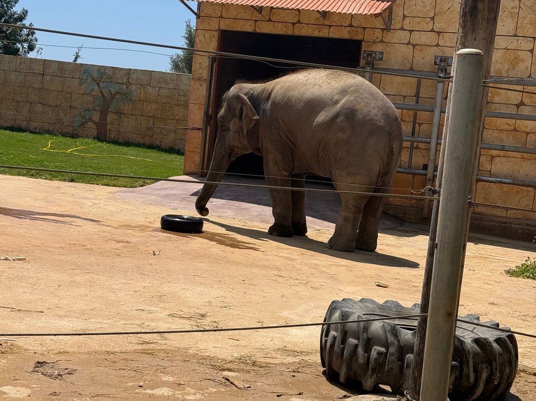 Pafos Zoo-帕福斯必去景点