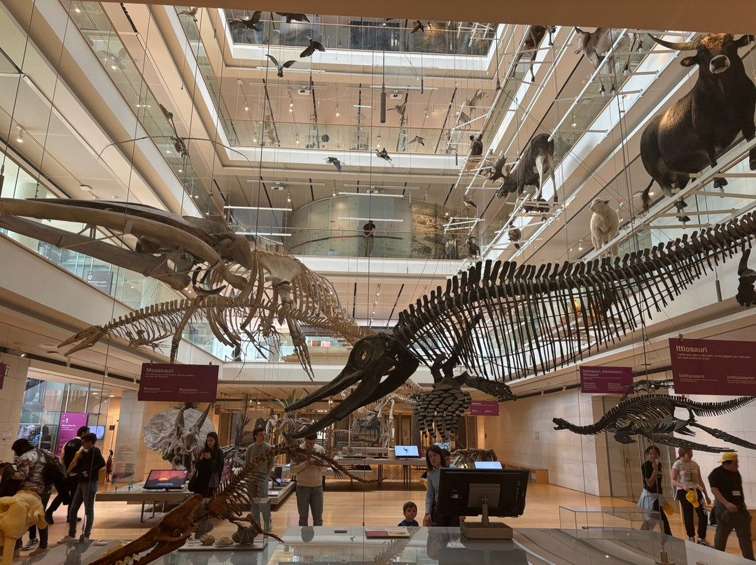 MUSE - Science Museum-特伦托必去景点